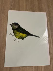 Bild Poster Ikea