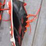 boots Image 2