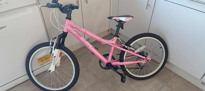 girls 20 inch bike