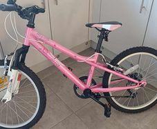 girls 20 inch bike