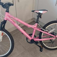 girls 20 inch bike