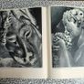 Large Hardcover Michelangelo , Paintings, Sculptures, Architecture, by Ludwig Goldscheider,. Image 4