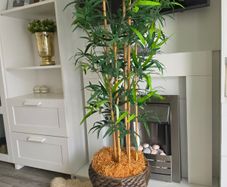 Artificial Bamboo tree with pot