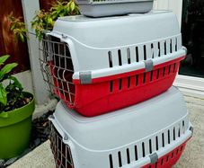 Pet carriers