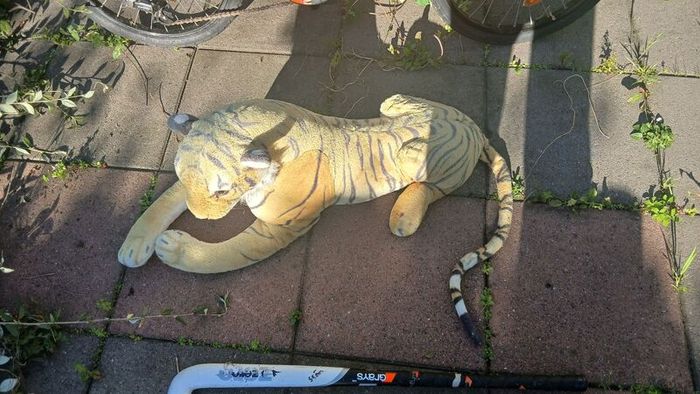 large Tiger teddy for collection today Dublin 13