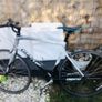 Starter racer bike Image 2