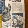 Comic: 'Barrier Reef' annual 1972 Image 5