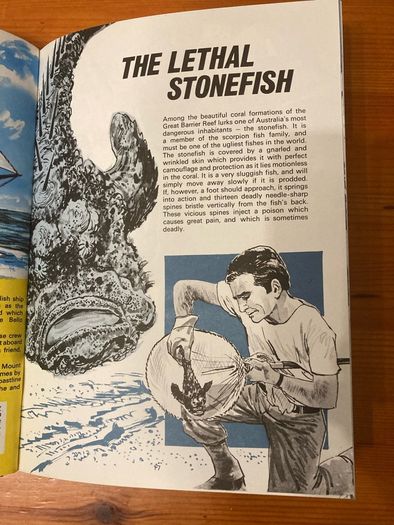 Comic: 'Barrier Reef' annual 1972