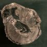 Eamon Glass Polar Bears figurine/ desk accessory Image 4