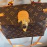 lv bag Image 9
