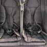 Double Buggy Image 5