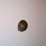 Ancient  Byzantine Coins Image 10