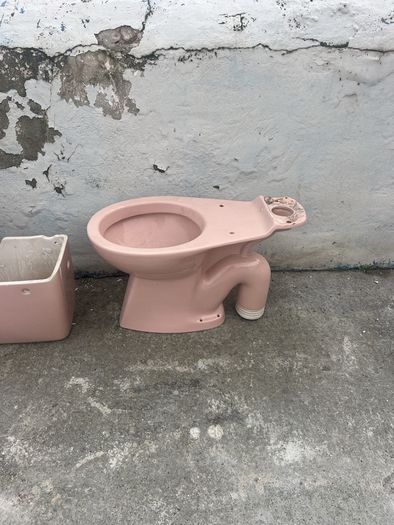 pink toilet retro vintage