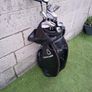 McGregor Full Set + Trolly.#PRICE DROP Image 2