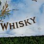 Paddy whiskey advertising mirror Image 9