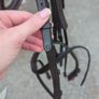 Bridle Image 5
