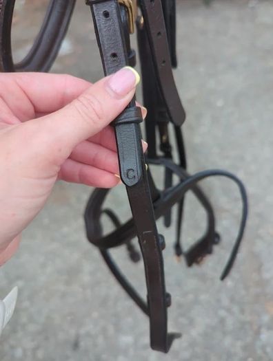 Bridle
