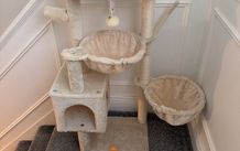 Cat Tree