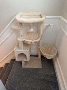 Cat Tree