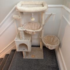 Cat Tree