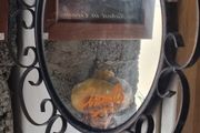 Ansells Beer advertising Pub mirror