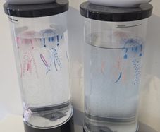 Lava Lamps with Jellyfish