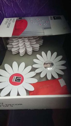 Daisy Wall decoration/ photo frames