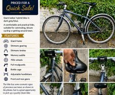 Ladies Road Bike