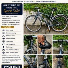 Ladies Road Bike