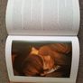 rolling stones book according to rolling stones Image 6