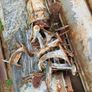 Cast Iron Gutter Image 3