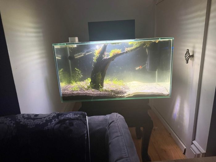 Fluval 23l Fishtank