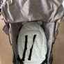 Buggy Image 2