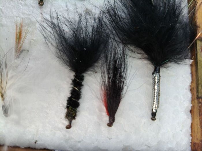 Old Fishing box of Flies