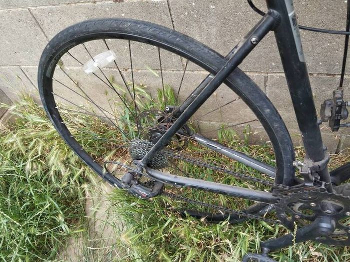 Carrera zelos needs repair