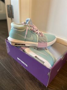 lebron witness VIII