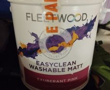 Brand new Fleetwood paint