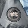 Canada Goose Image 2