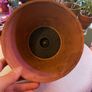 Plant pot (self-watering ) Image 2