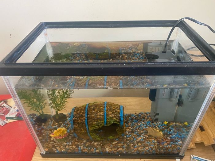 fish tank