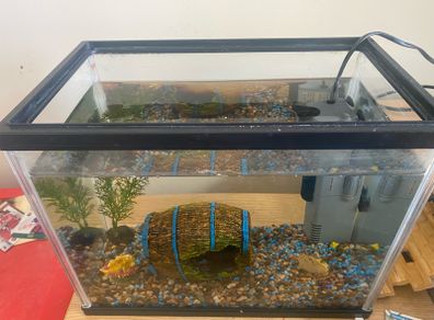 fish tank