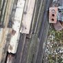 Free Wood Image 3
