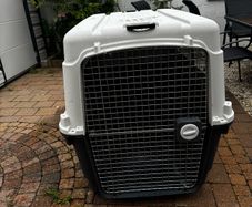 Large IATA Dog Transport Crate 120 L 80 cm W 90 cm H