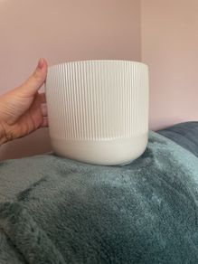 Plant pot