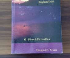 focloir dictionary