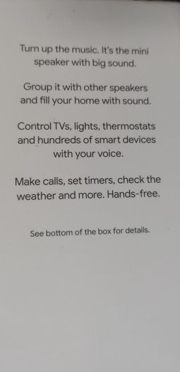Google Nest Mini Working perfectly