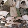 Firewood Image 2