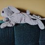 Rabbit - Soft Toy Image 5