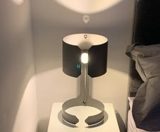 2 Table Lamps