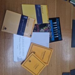 Free leaving certificate music books